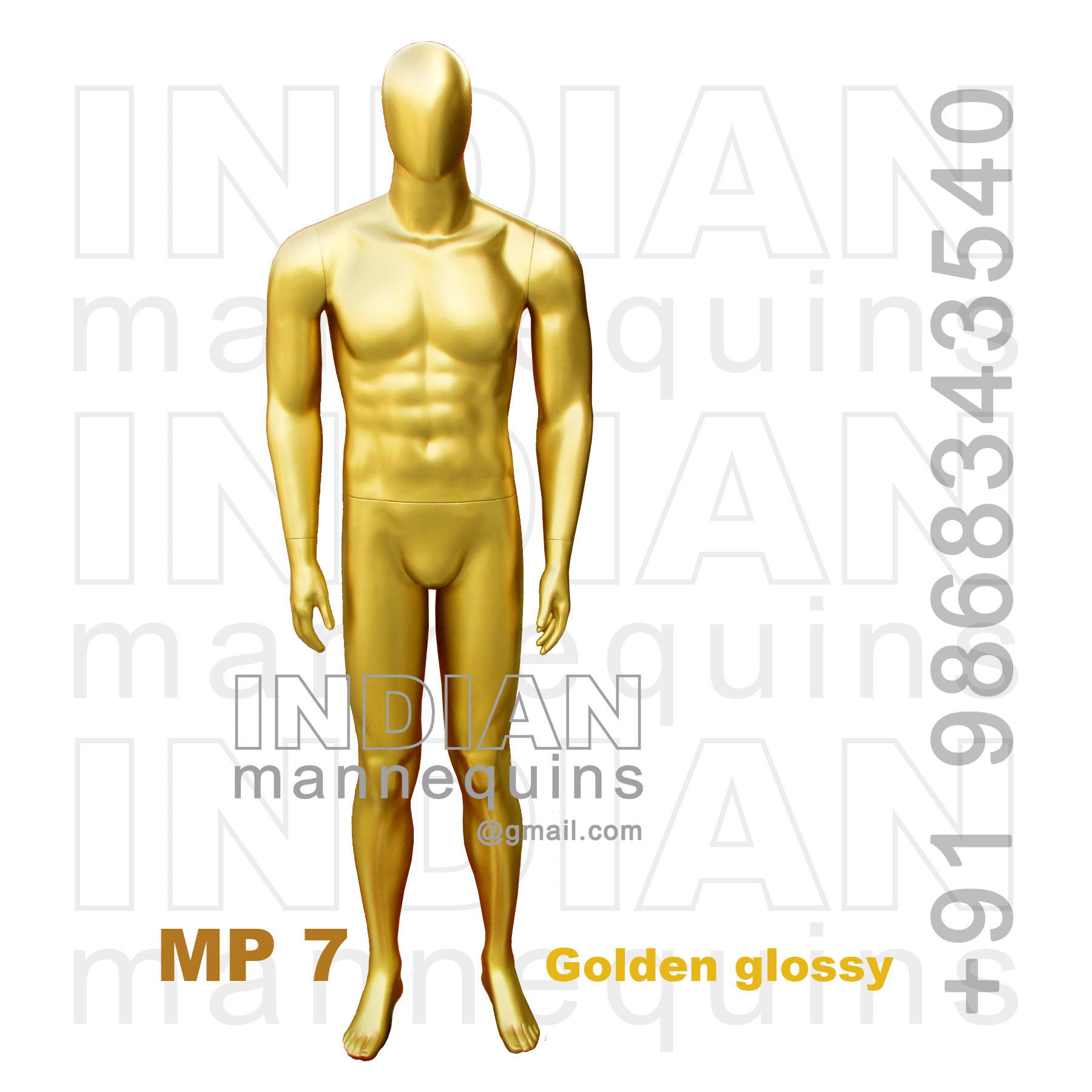 Male Mannequins - Mannequins Human Look Manufacturer from New Delhi